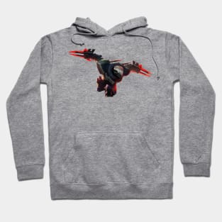 PROJECT Zed Hoodie